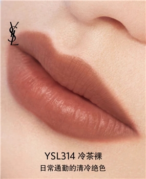 【一卡通支付】圣罗兰细管丝绒纯口红314