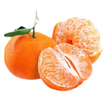 桔子（勿下单）