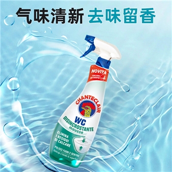 大公鸡管家马桶清洁剂（除垢）