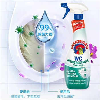 大公鸡管家马桶清洁剂（除垢）+（漂白）